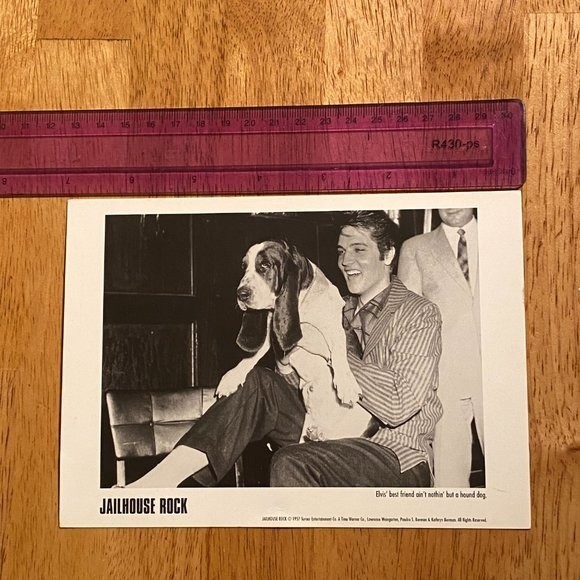 Jailhouse Rock Elvis' best friend ain't nothin' but a hound dog - Picture 3 of 5